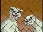 Watership down (TV) picture