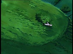 Watership down (TV) picture