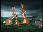 Watership down (TV) picture