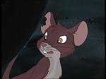 Watership Down : The promised land picture