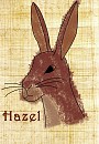 Hazel