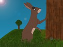 Larkspur exploring