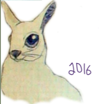 Pipkin