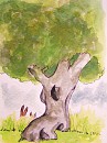 What do you see?
