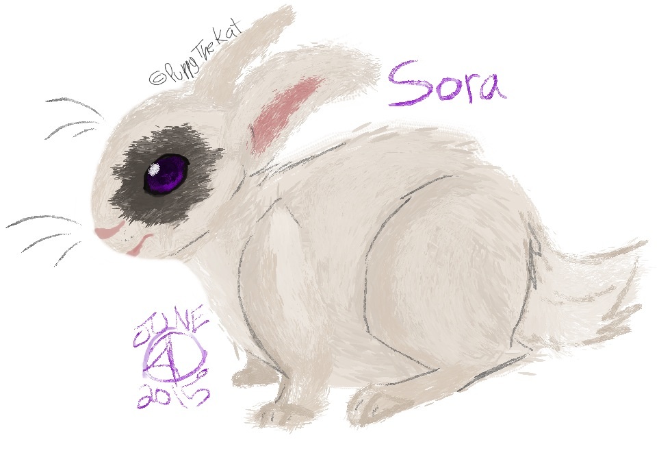 My First WaterShip OC Sora