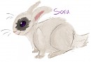 My First WaterShip OC Sora