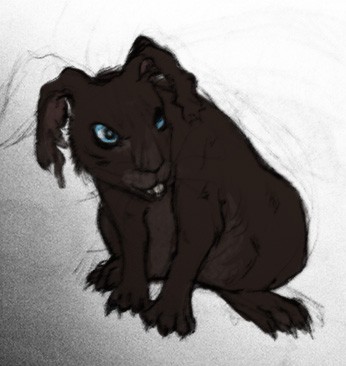 Blackavar