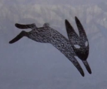Detail Black Rabbit of Inlé