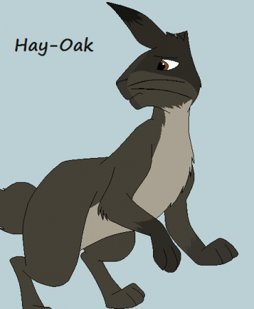 Detail Hay-Oak