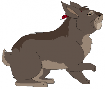 Detail Juniper (DakotaWereWolf)