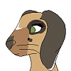 Roseroot