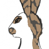 Inkberry