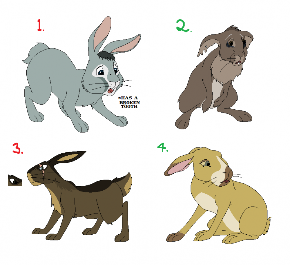 First batch of adoptables