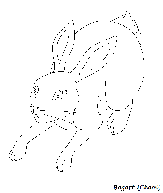 Doe lineart
