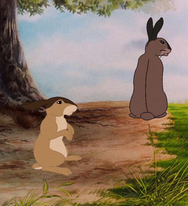 Why don`t you ever look at me...