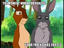 Meme