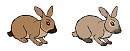 Speedwel x Haystack