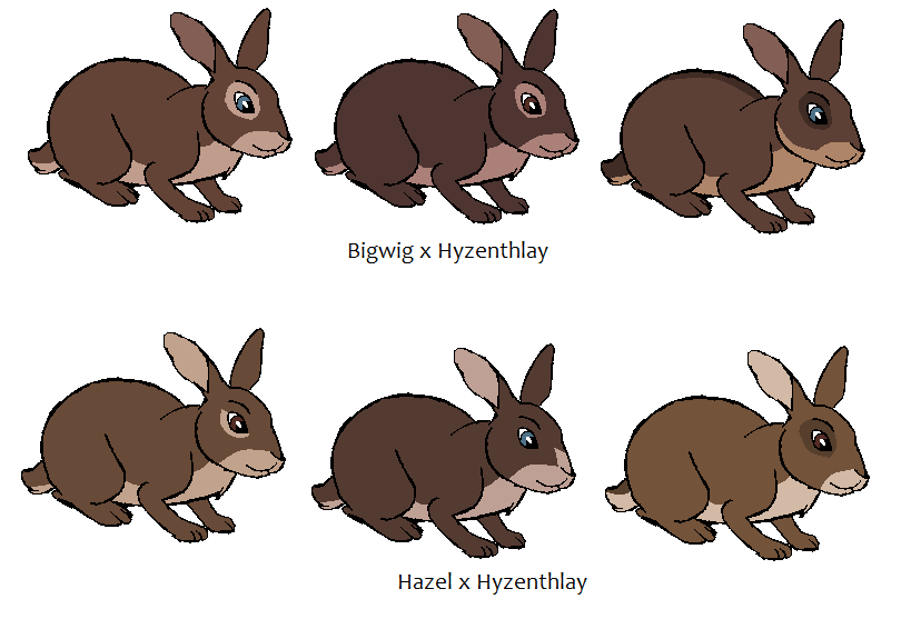 Hyzenkits adoptables