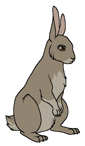 Design trade with Wild Wind