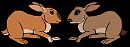 Adoptables