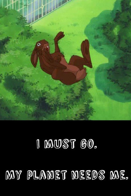 I Must Go.