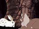 ''Strange Little Buck...''