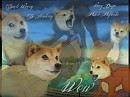 Such Watership, Very Doge