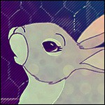 Clover