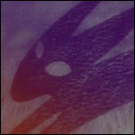 Black rabbit1