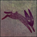 Black rabbit3