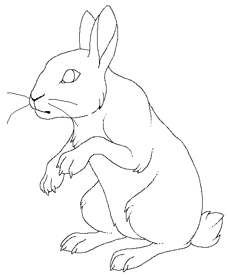 Lineart