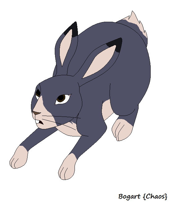 Design Trade with Cloudstar