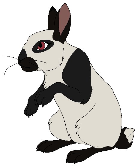 Design Trade with Bogart (Chaos)