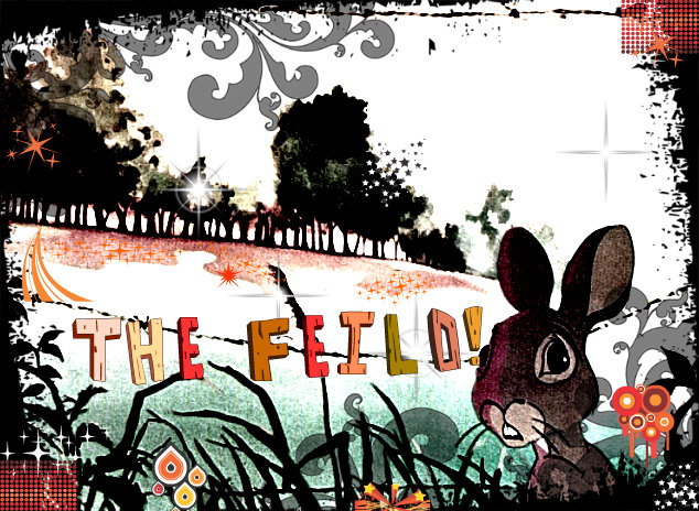 The Field 