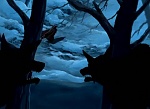 Image X-Men: Evolution Saison 1