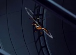 Image X-Men: Evolution Saison 2