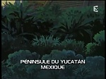 Image X-Men: Evolution Saison 4