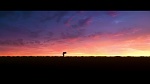 Image Zootopie