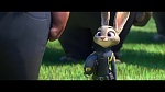 Image Zootopie