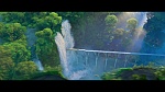 Image Zootopie