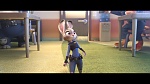 Image Zootopie