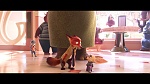 Image Zootopie