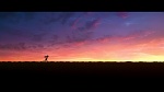 Zootopia picture