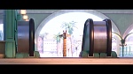 Zootopia picture