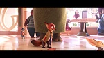 Image Zootopia