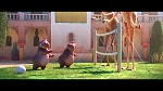 Zootopia picture