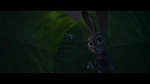 Image Zootopie