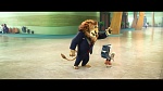 Image Zootopie