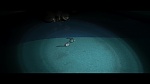 Image Zootopie
