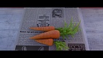 Image Zootopie